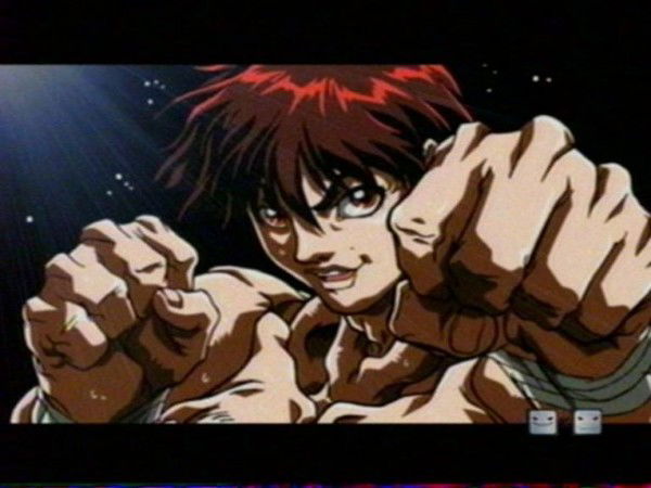 Kozz// Pro 100 Kozz///