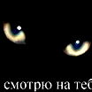 Игорь Потапов