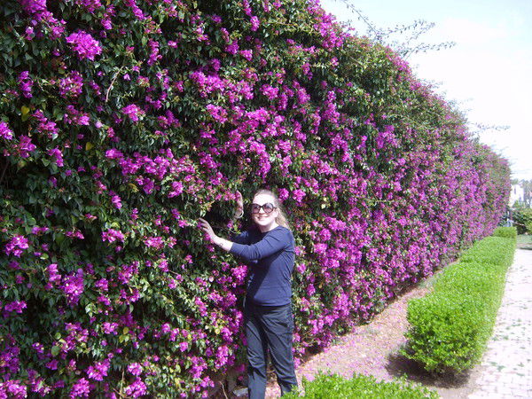 Елена ...............