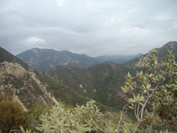 Юрий Плотников