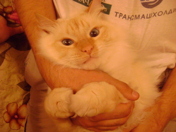 Катерина Блузнова