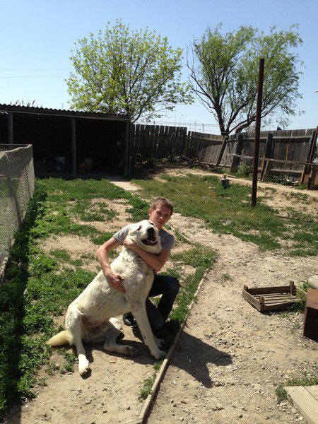 Денис Никешин