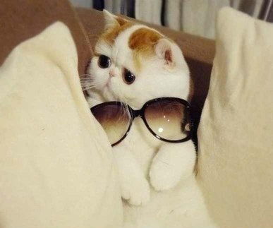 Алексей Климишин