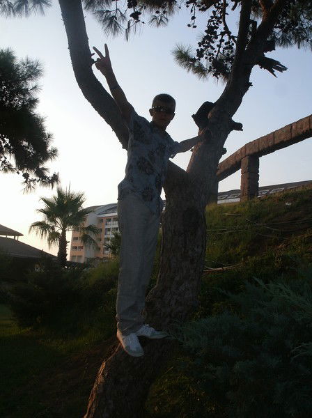 Владимир Шмелёв