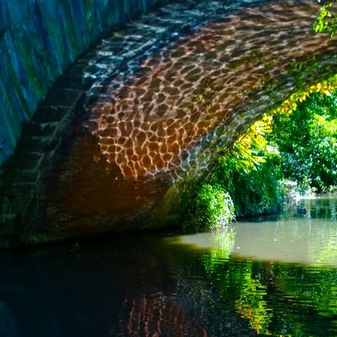 Эльвира Егорова