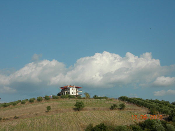 Елена Демыкина