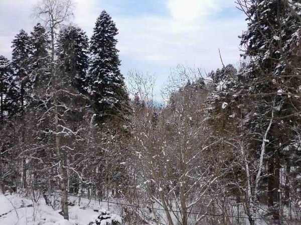 Жанна Хаустова