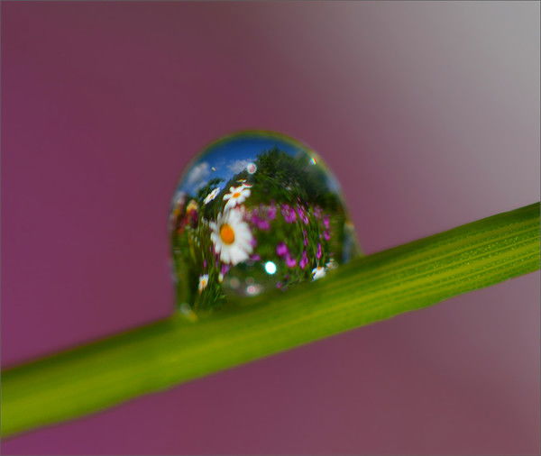 Елена Кондратьева