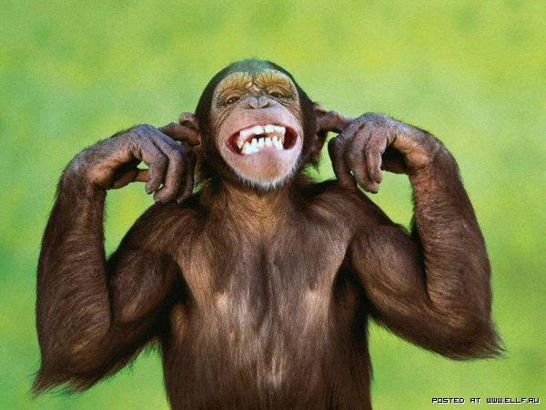 Дима Кучумов