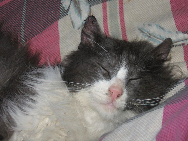 Михаил Васяткин