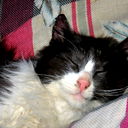 Михаил Васяткин