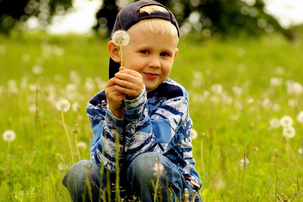 Мурзя Мурзя