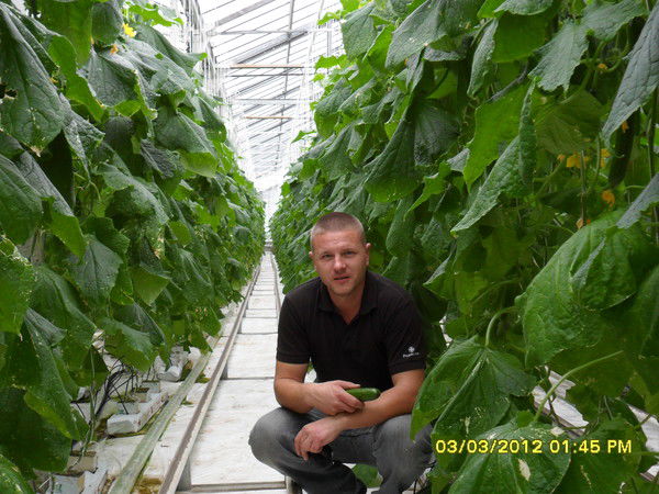 Iван Пiдгрушний