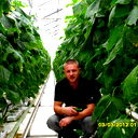 Iван Пiдгрушний