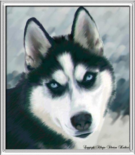 Волков Сергей