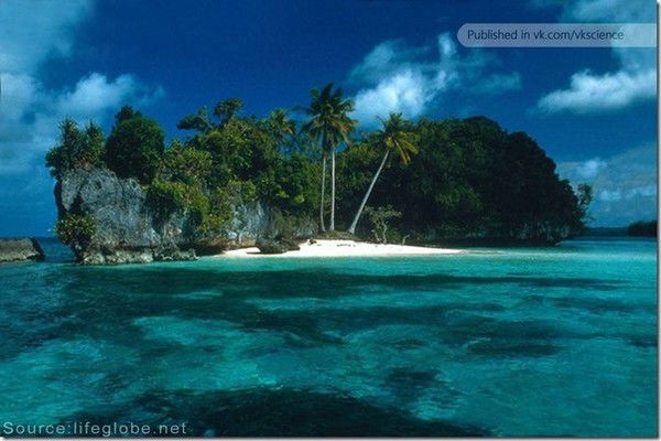 Ирина Крылова