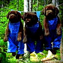 Константин Гридасов