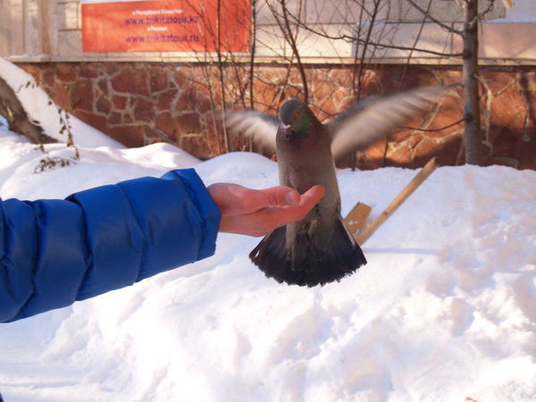 Артем Воропаев