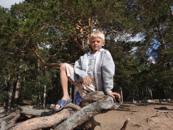 Илья Свинцицкий