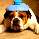 Сергей Правдин