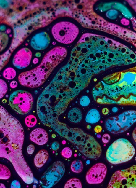 Анна Костенко