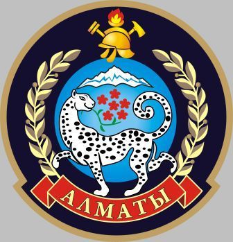 Ауэзовский Рочс Дчс Г.алматы Мчс Рк