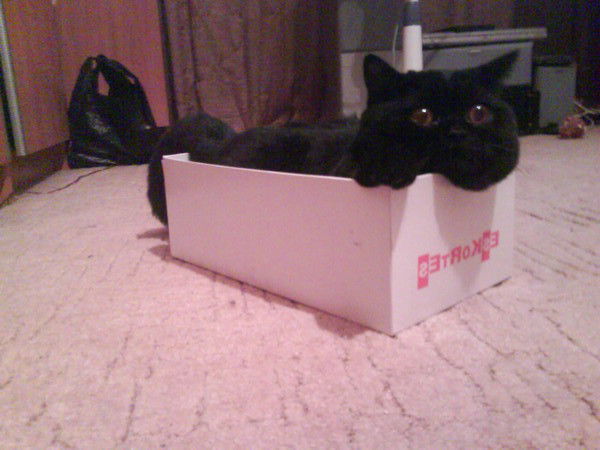 Андрей Резяпкин