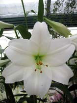 Шиндина Татьяна