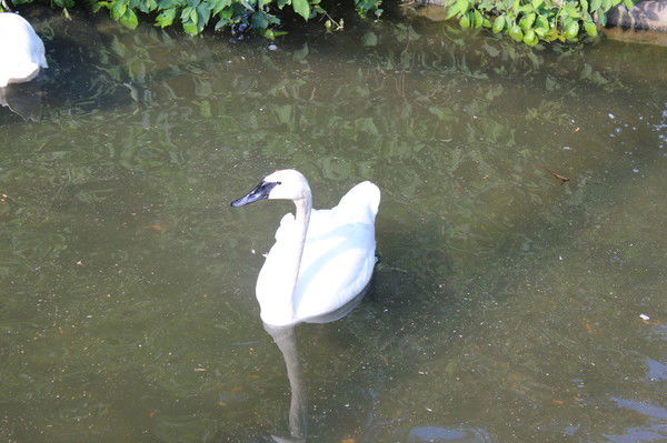 Кирилл Барский