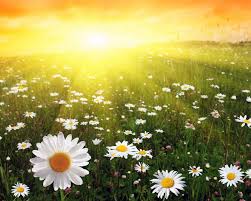 Агапе Любимова