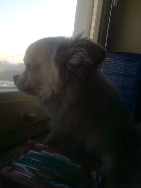 Юлия Кравцова