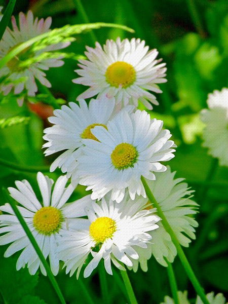 Отдел Опеки Куйбышев