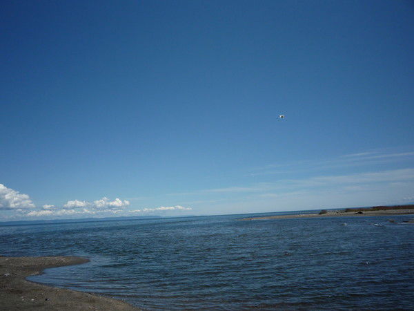 Оксана Андреева