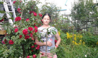 Ольга Аверина