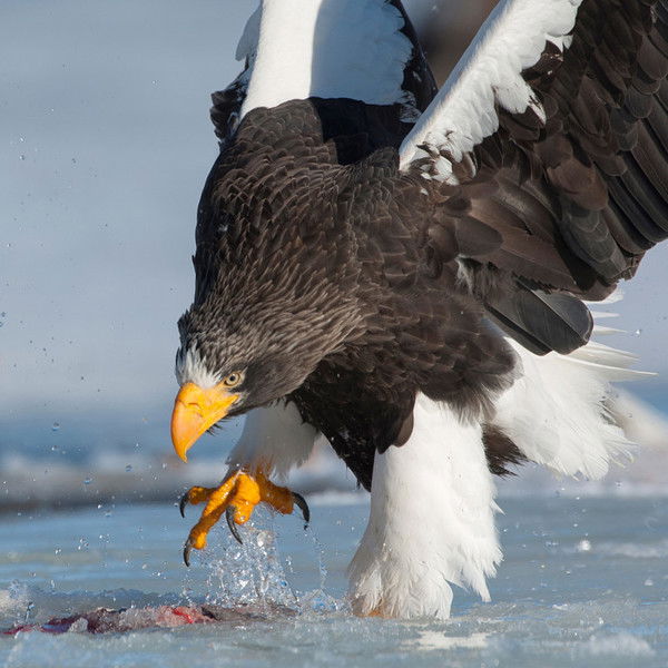 Тихонов Юрий