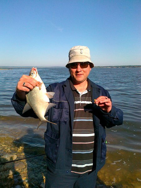 Евгений Луптаков