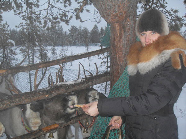 Алла Филиппова