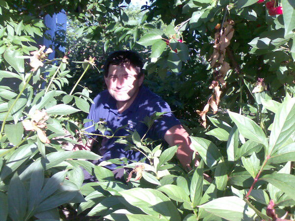 Владимир Гребенюк