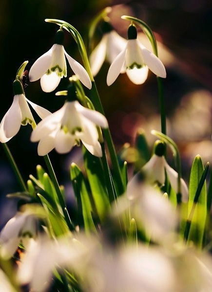 Данечка ))))))))))