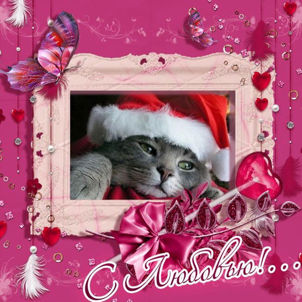 Людмила Копнина