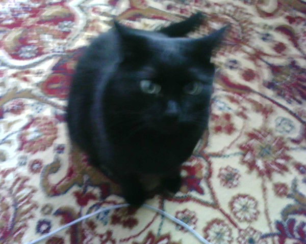 Татьяна Куприяновамихайлина