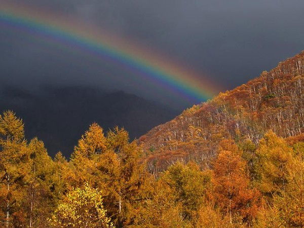 Марина Васильева