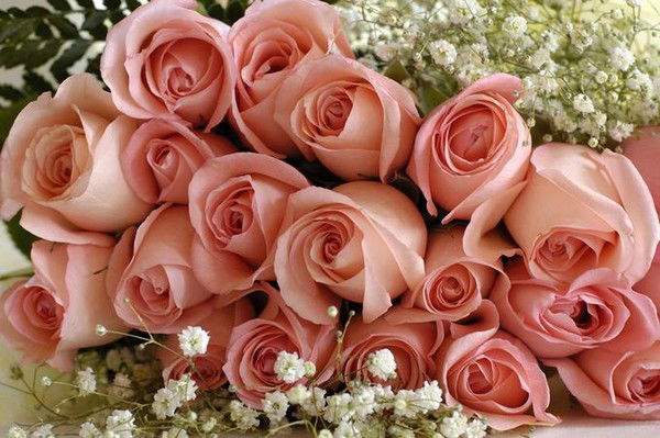 Жулдыз Жапкараева