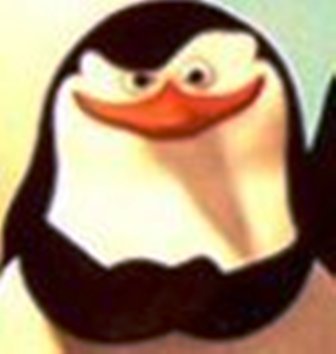 Максим Журов