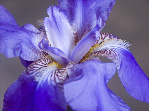 Катя Соколова