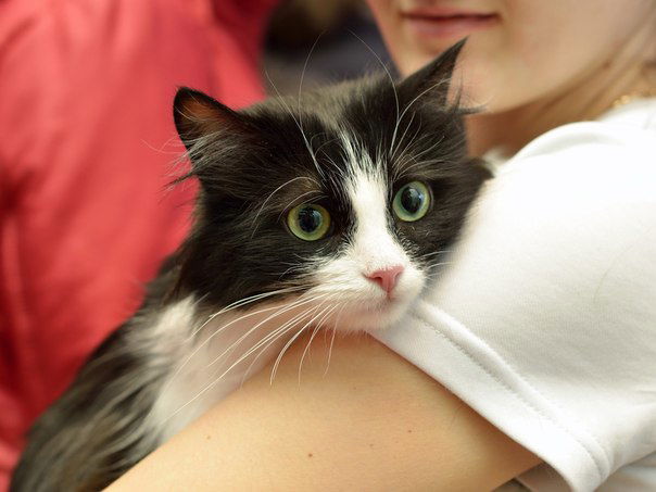 Ольга Васильева