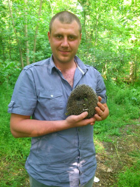 Алексей Дзюбенко