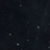 Валерій Пустільнік