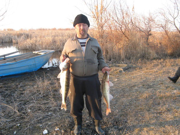 Петр Проценко