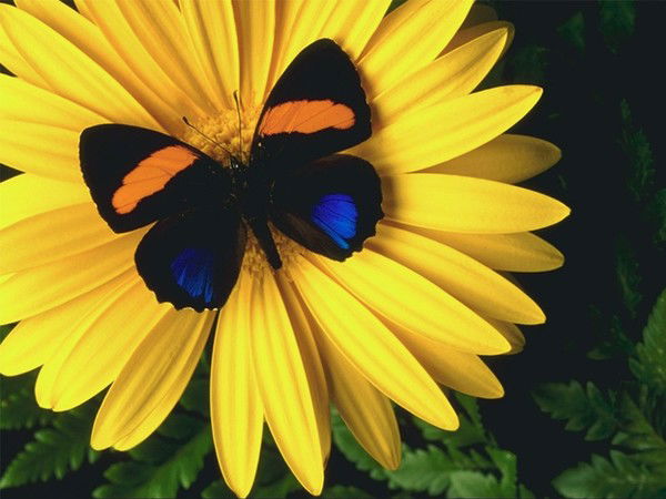 Галина Рахматуллина